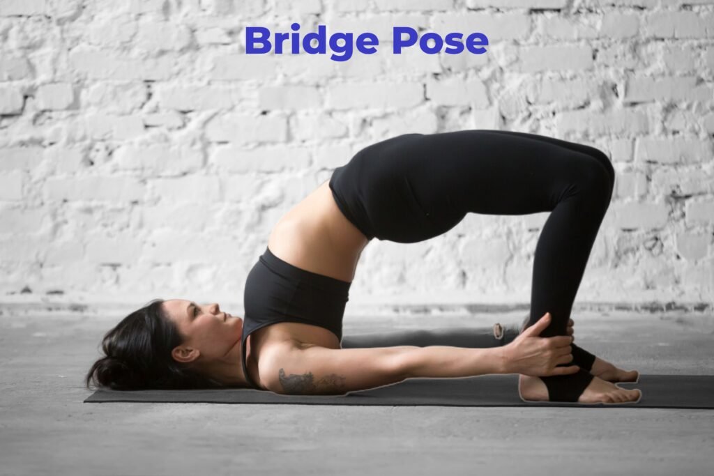 Yoga and Meditation - Bridge Pose